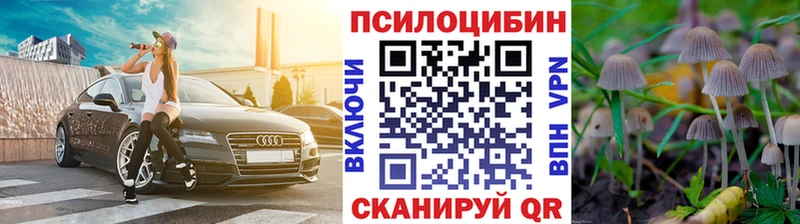 блэк спрут tor Юрьевец Псилоцибиновые грибы Psilocybine cubensis